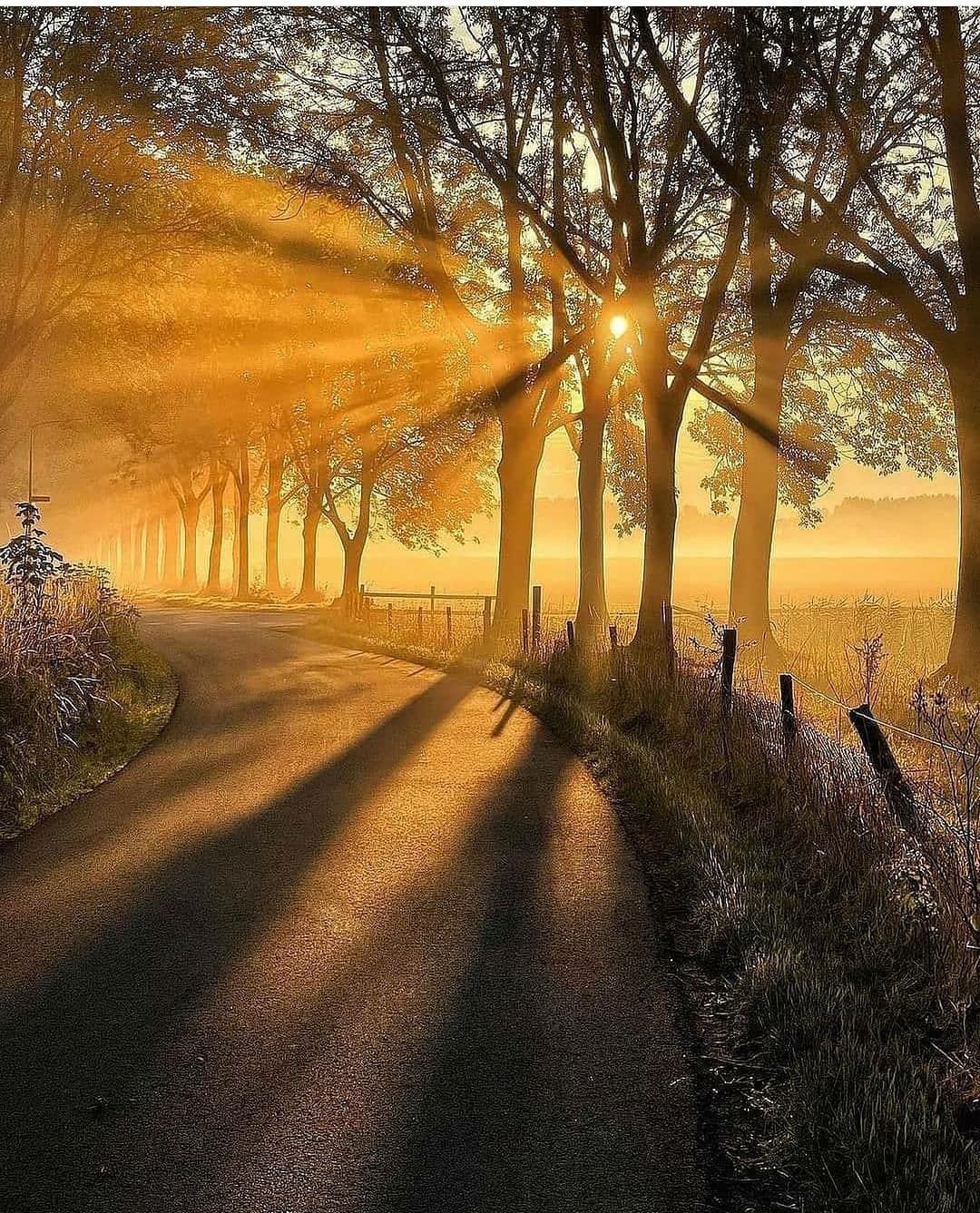 241737169_379064417126472_8951169349459406972_n