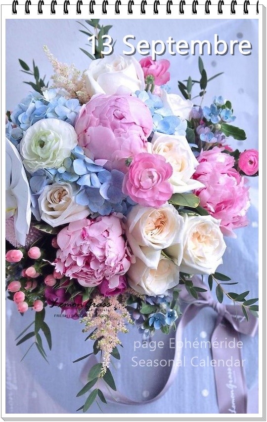 241750891_4590562144327179_9212504662558226482_n