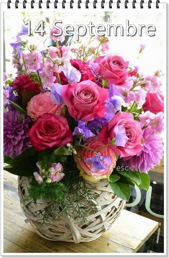 241796371_4593687630681297_6239973279060873083_n