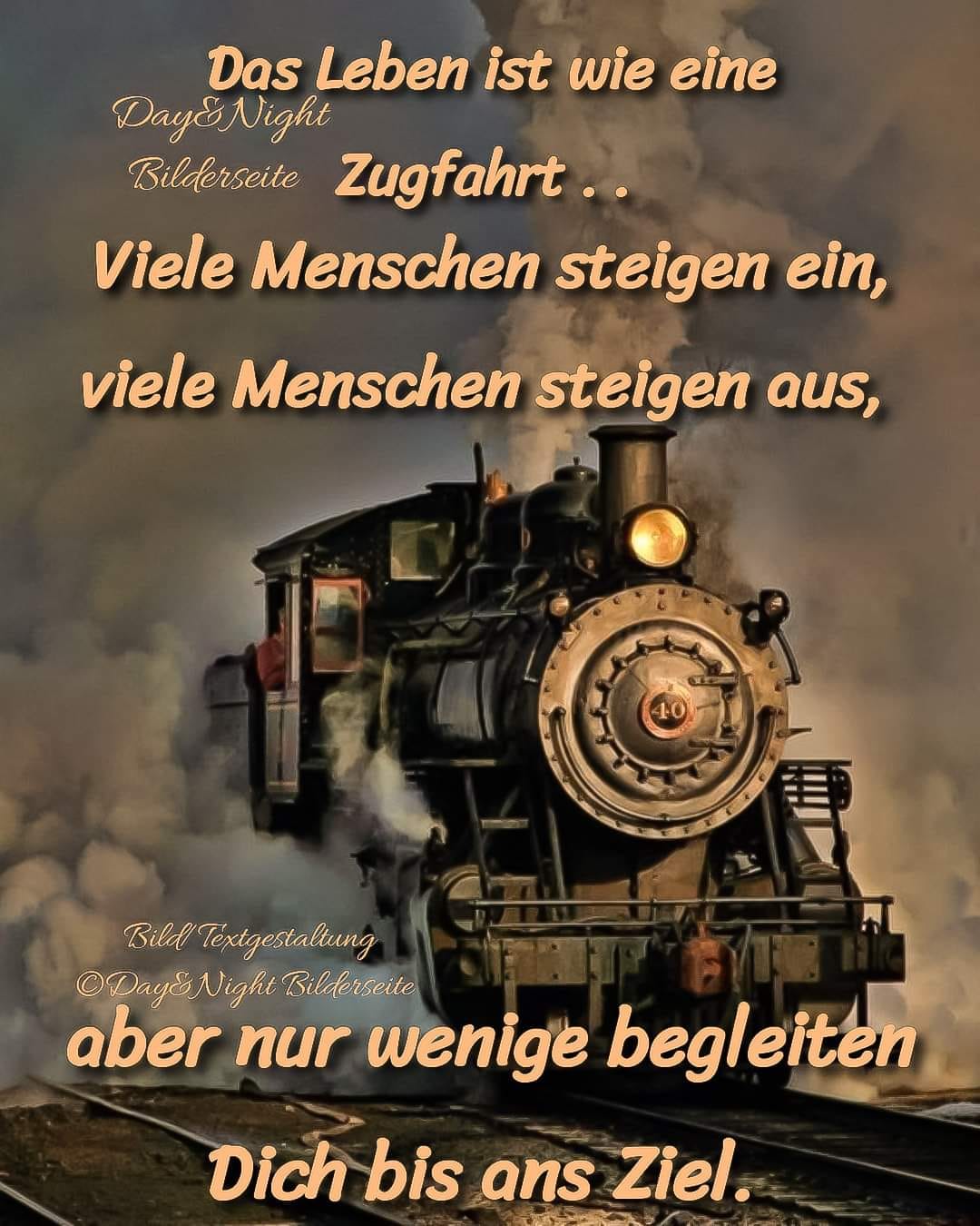 241801432_3181131918807704_7951646658227499005_n (1)