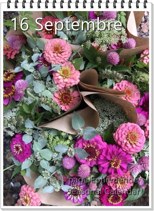 241911727_4599960236720703_674783745769709704_n