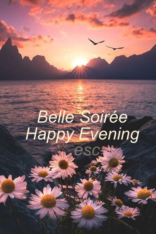 241912787_4600108700039190_7220252846016897206_n