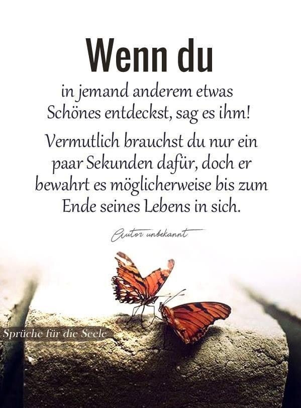 241958461_386254232965116_5894826959795611078_n