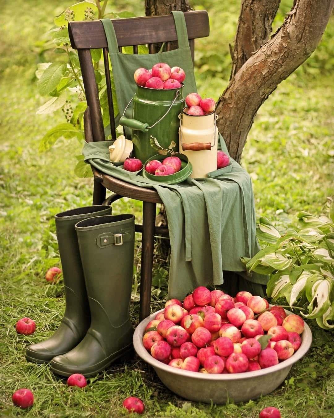 242027320_1977754789040057_4192695265579075146_n