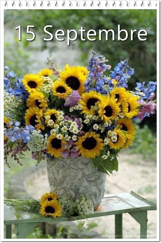 242029288_4596846517032075_1117046552445163574_n