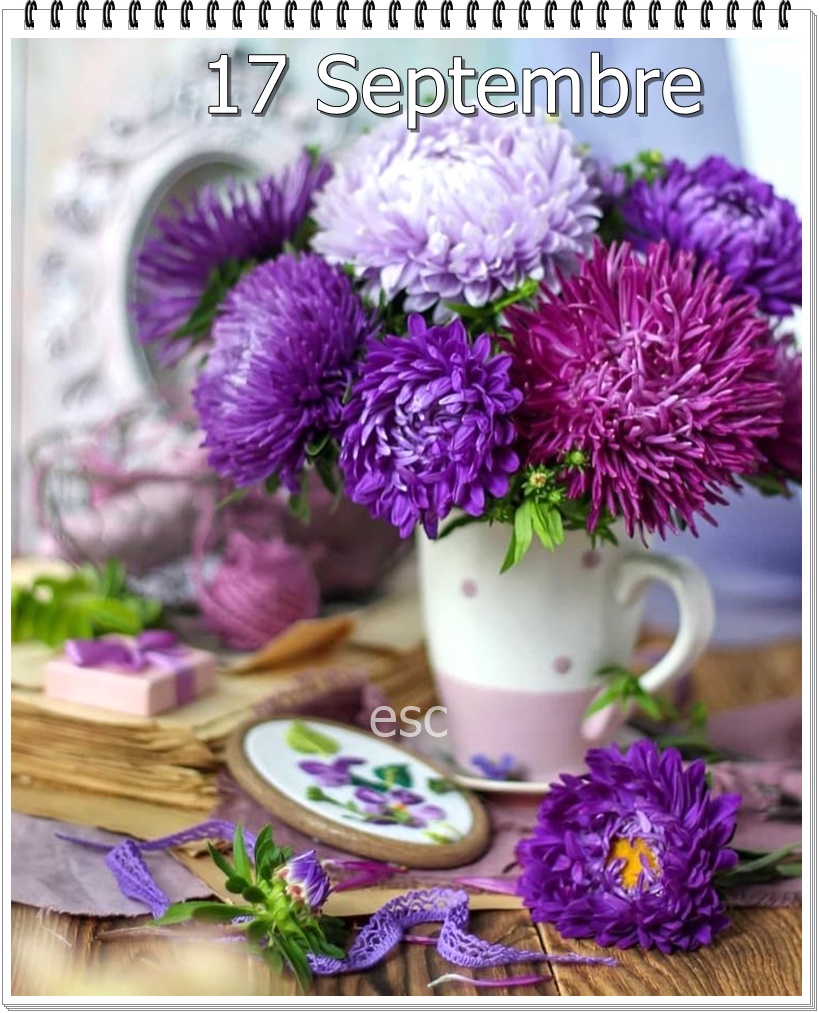 242032846_4603162326400494_7874225933176393772_n