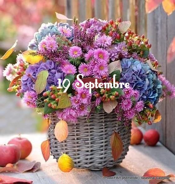 242078382_4609776109072449_4780641495004592191_n