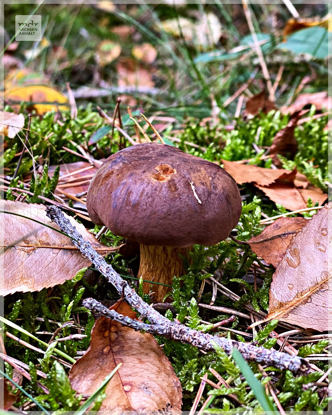 242107043_4278455035537146_5836678710863607398_n