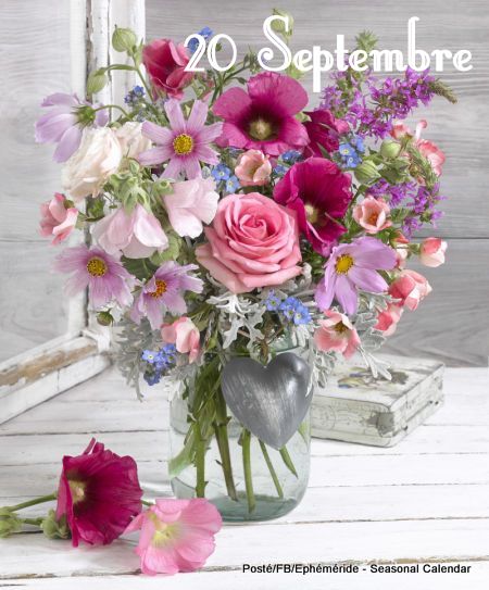 242344841_4613036438746416_2303846092592960733_n