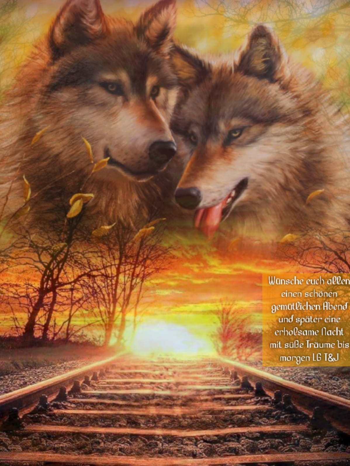 242382221_4403379103071487_2292066197215277291_n