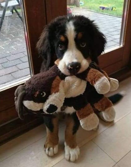 242399443_1310486072739029_1633671123643578487_n