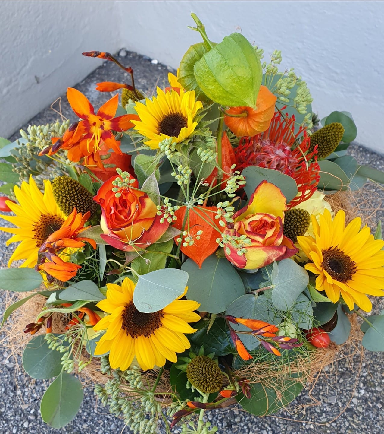 242410241_6815042948521593_2898512380427732043_n