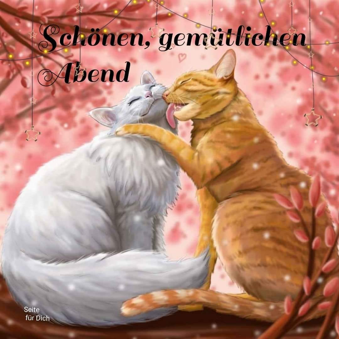 242504355_229236055848465_2422083002067686916_n