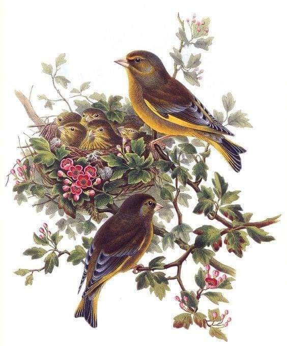 242508774_1982141645268038_3344956916871011313_n