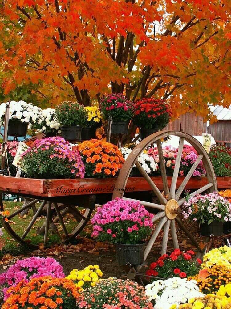 242631816_3027927260778404_4147887087422472284_n