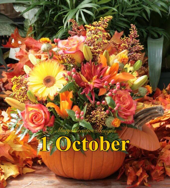 242674087_3015688398668957_6931864409506598080_n