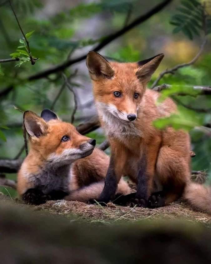 242758519_955275471721784_4813406173129442568_n