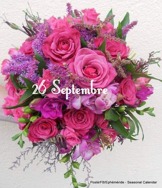 242804044_4632561473460579_1839091128991967574_n