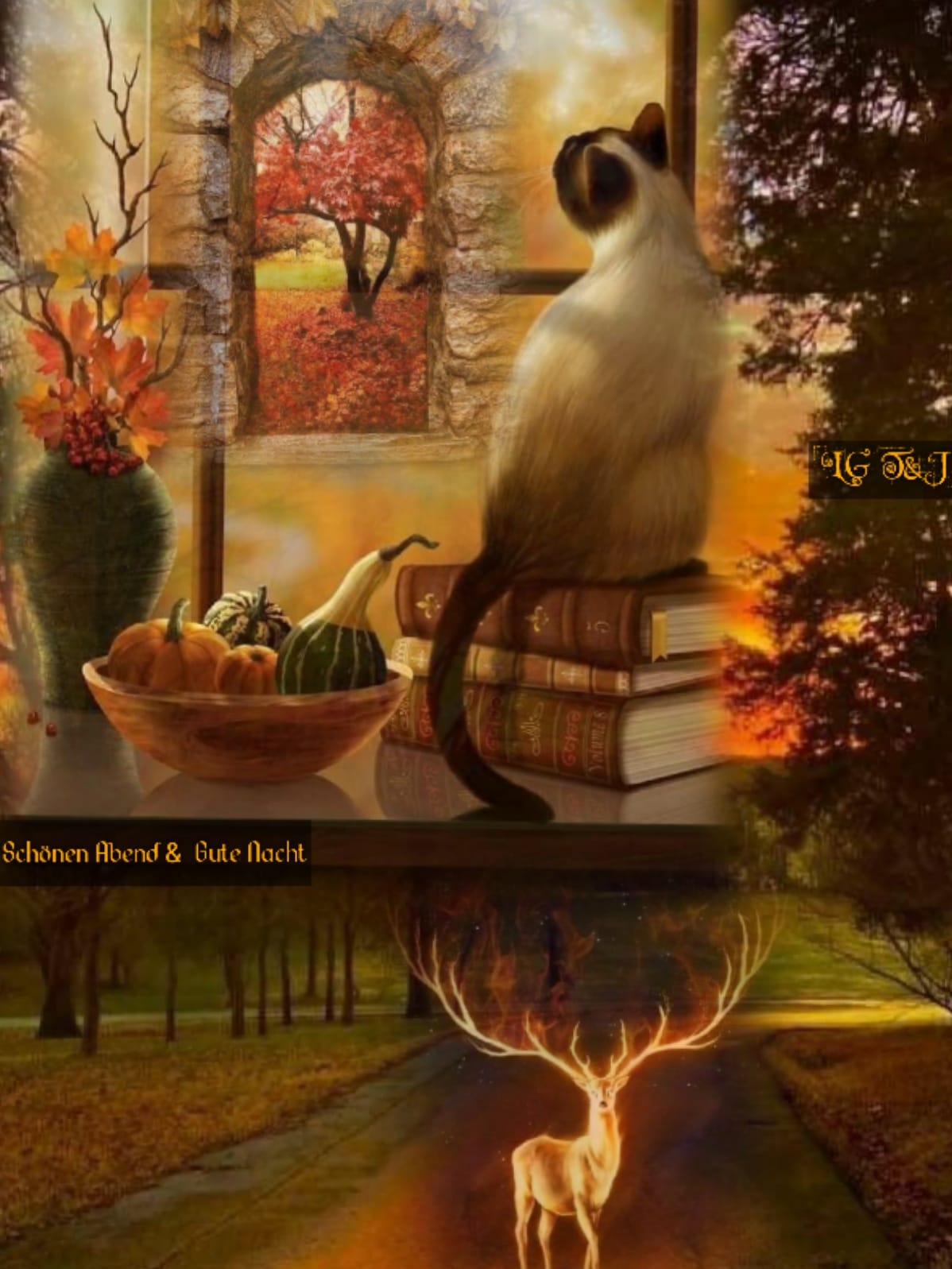 242816842_4413408478735216_7721868571579898580_n