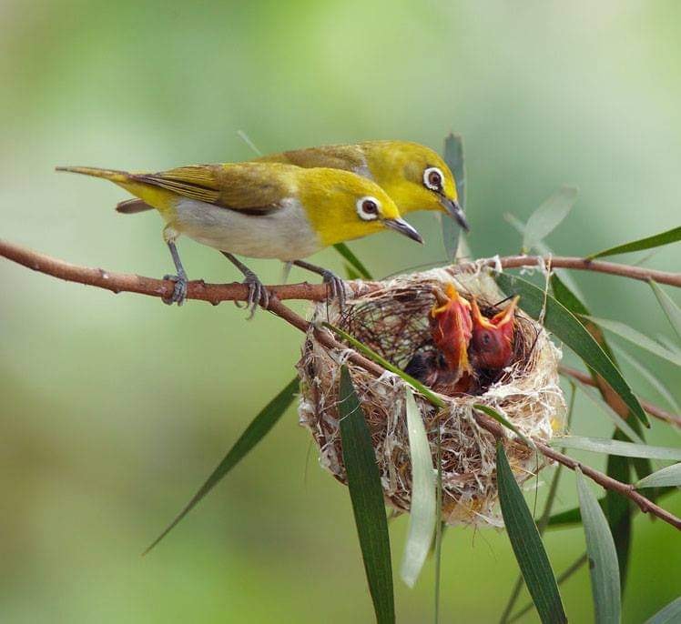 242827847_4329312617123749_1233577544657107742_n