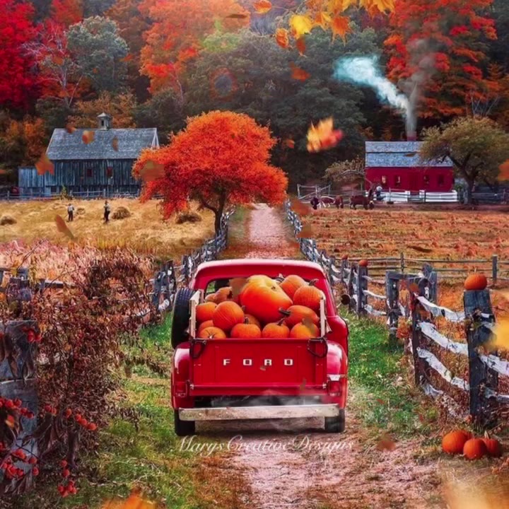 242846910_3935999286501235_4830607010935024381_n (1)