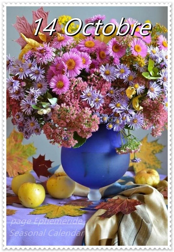 242897881_4689859311064128_1336790158543935307_n