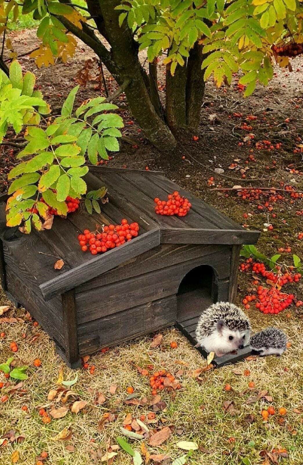 242972210_389934519372795_218616510532922893_n