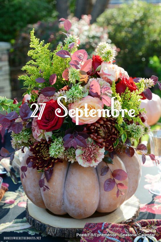 242991312_4636426883074038_7182412684658752845_n