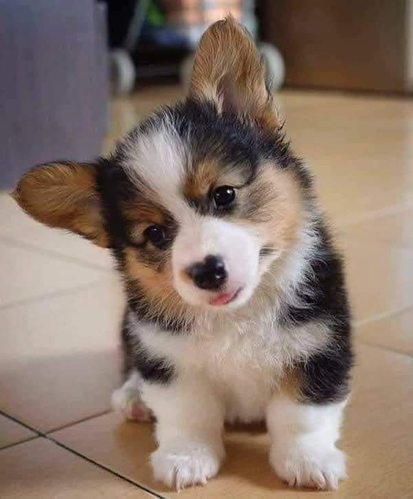 243017235_1315548115566158_6533062101215357874_n