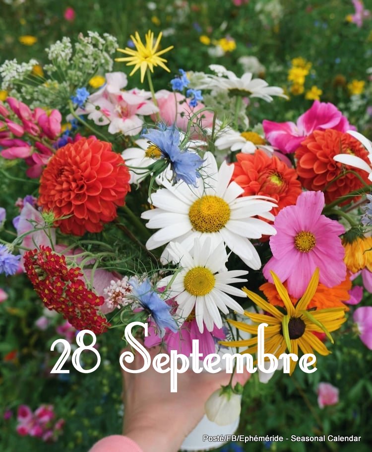 243046355_4639726712744055_6983588041915151840_n