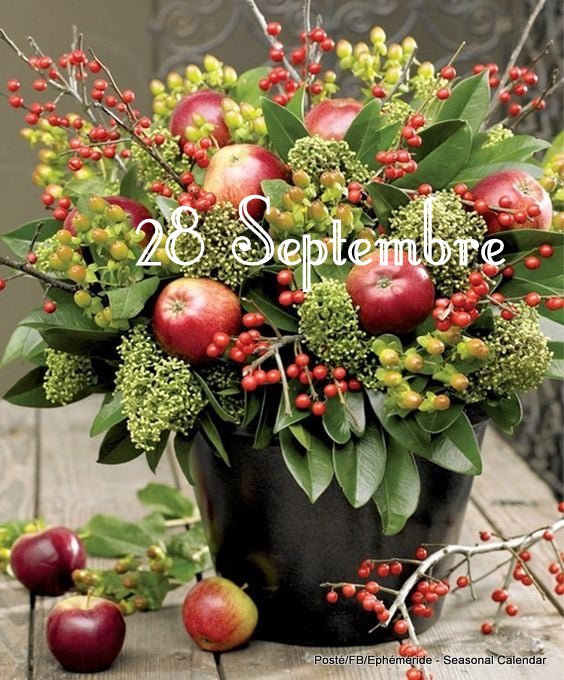 243052128_4639725516077508_2195695626497319270_n