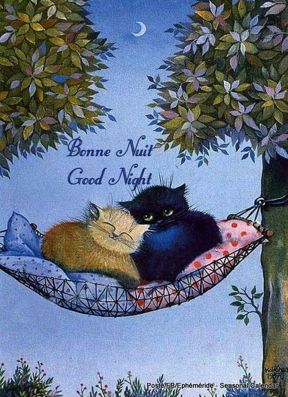 243056512_4639133286136731_1337491713993892609_n