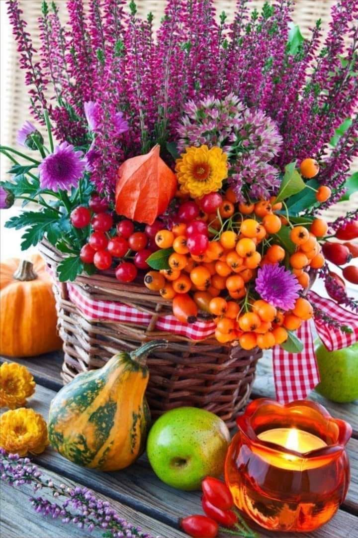 243249775_2277432492435106_3011924213202104412_n