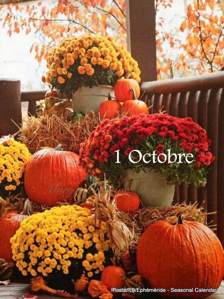 243415414_4649431961773530_1394791087647183580_n