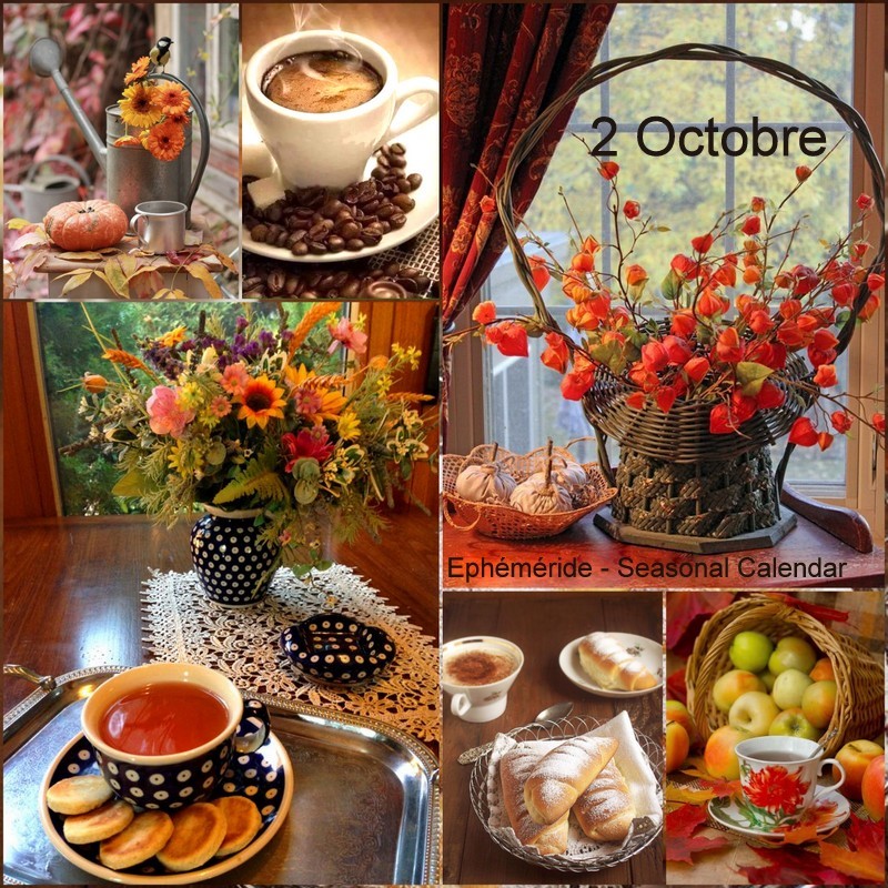 243512642_4652696138113779_813073267883308712_n