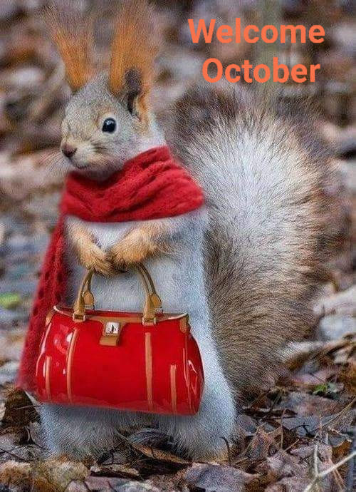 243517430_1988816334600569_8422489293181599803_n