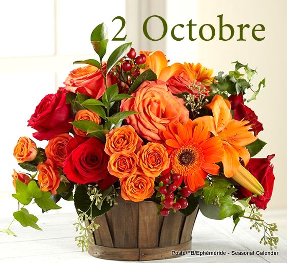 244301970_4652646441452082_6239040987556873863_n