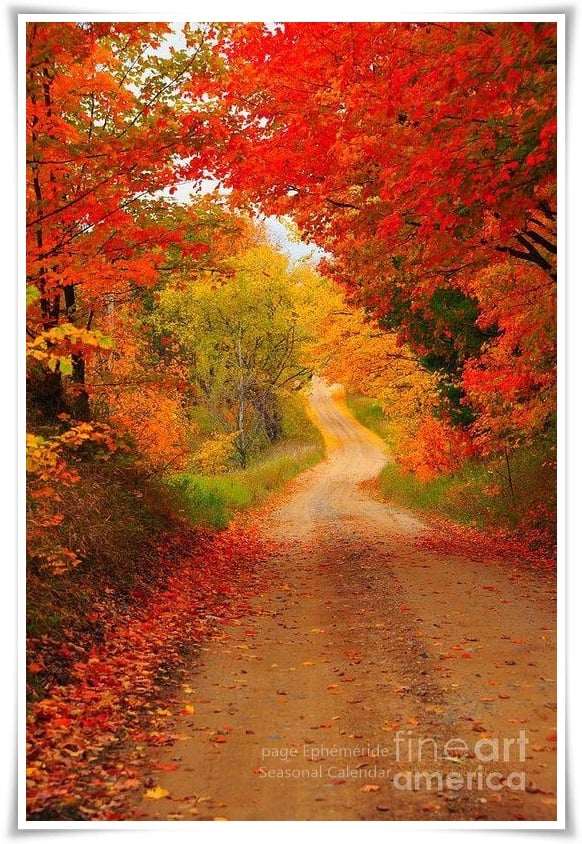 244350781_4657499000966826_5376698874688938372_n