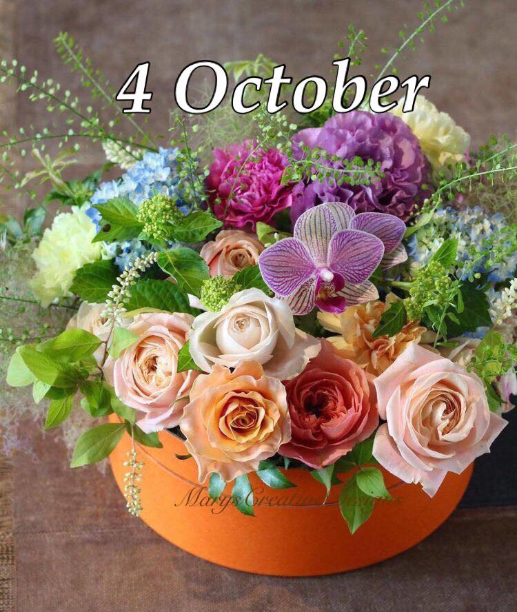 244508993_3017944341776696_7155536181185667579_n (2)