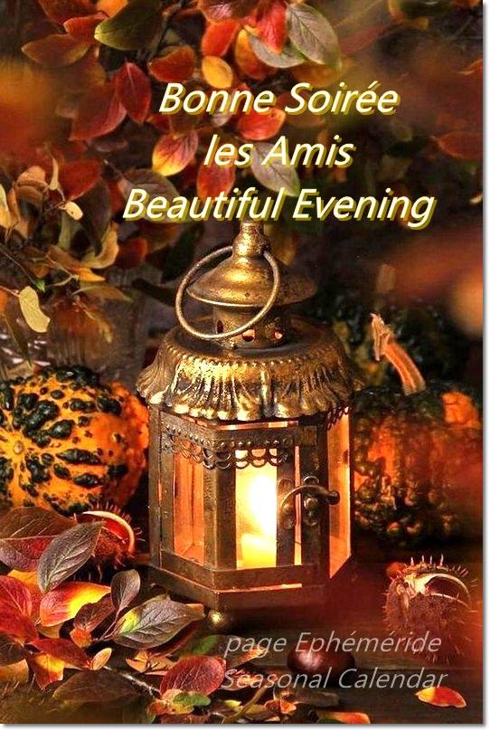 244523809_4675446139172112_4172331803885269363_n