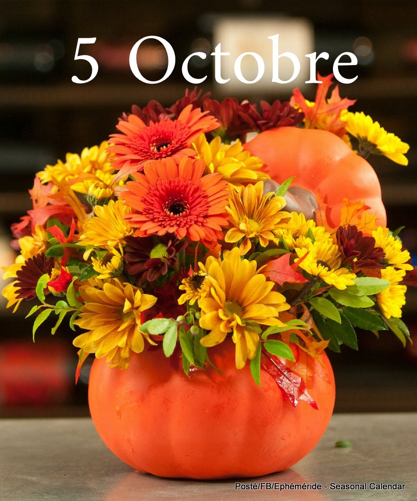 244537092_4661770420539684_1696778168642926298_n