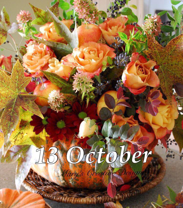 244679307_3025075581063572_3624631084557989183_n (1)