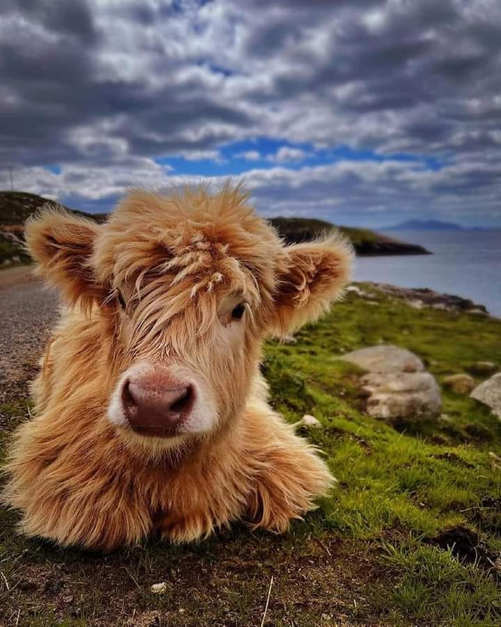 244691168_1322591041528532_7360251723610695656_n