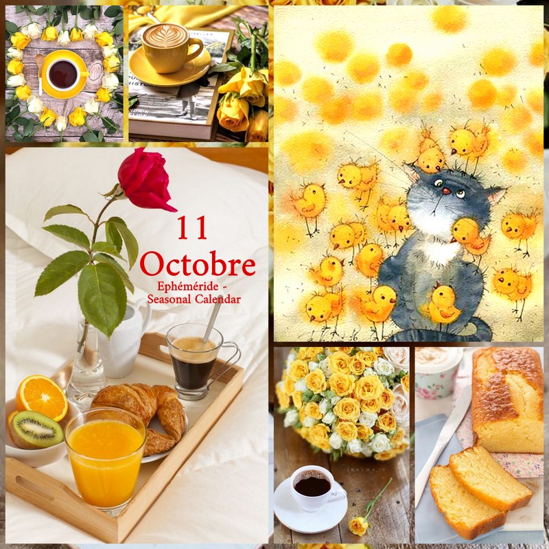 244725617_4679903572059702_6698856778132528106_n