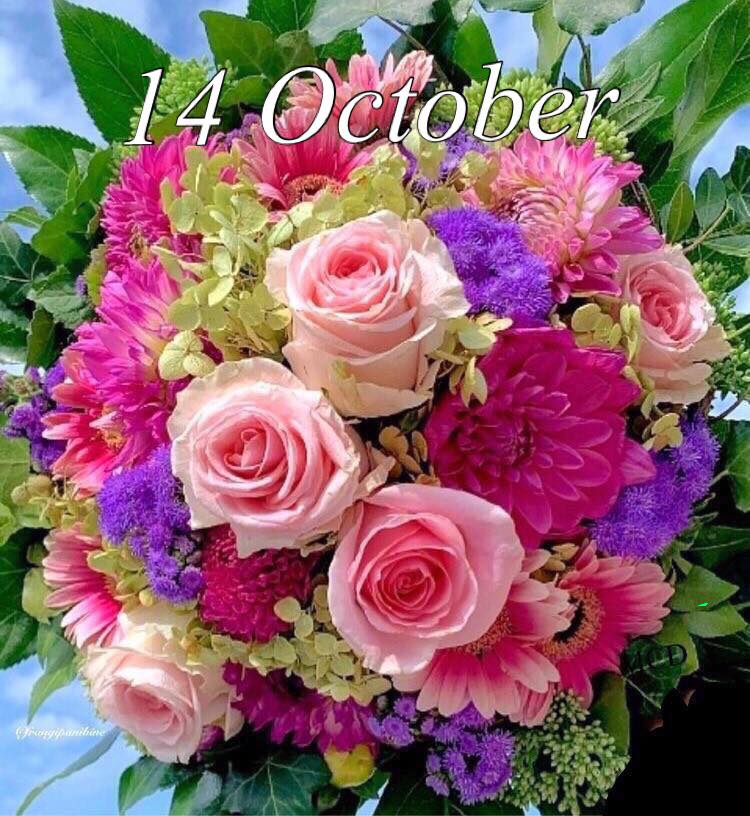 244757719_3025864667651330_1605613526337998508_n