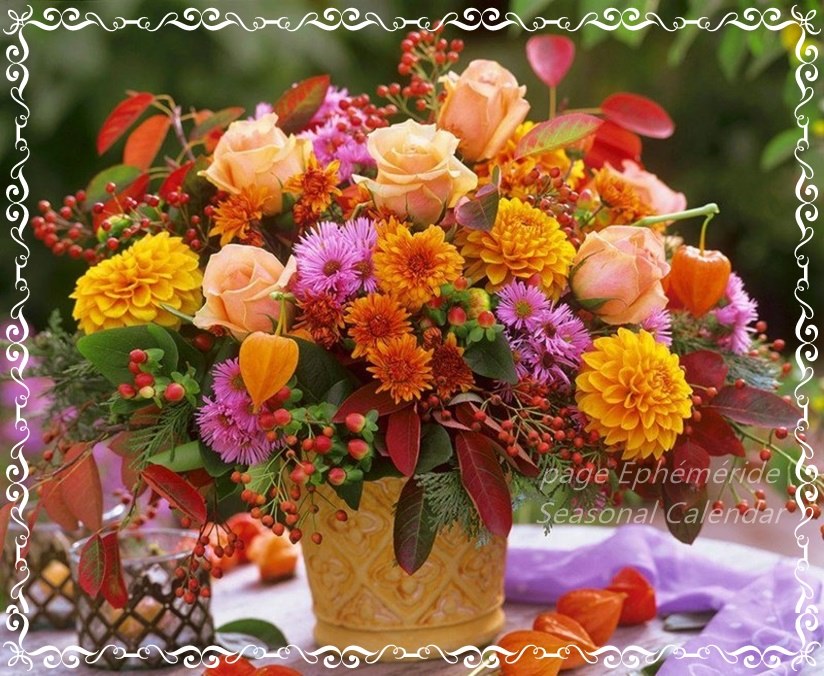 244758360_4680028362047223_1937047354529717160_n