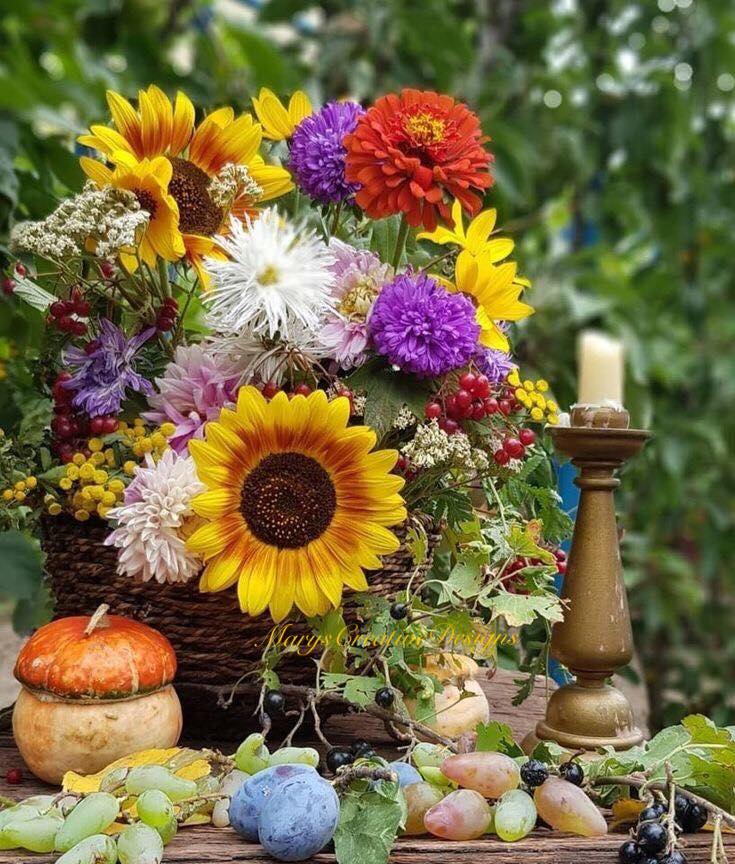 245076080_3027926350778495_5810313603601979897_n