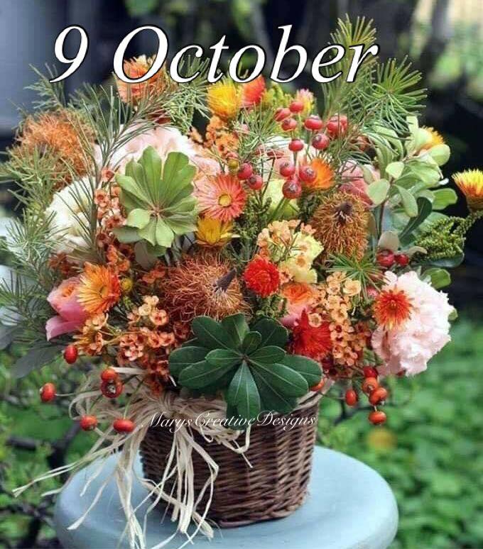 245090933_3021769011394229_1526706408661181055_n