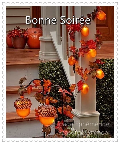 245211700_4685823391467720_5556594332719908682_n