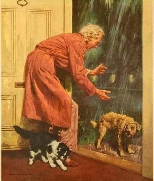 245286625_3017896715150052_5328070603082877284_n